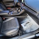 펫앤피플 이미지