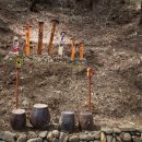 서들농장 이미지