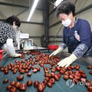 농협소태 이미지