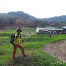 용산2농장 Daum카페