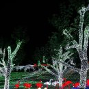 프로방스 포토랜드 이미지