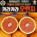 오렌지 쇼핑하우