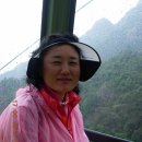 명보 이미지
