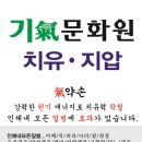 육림화원 - 도봉구 도봉로156길 6 | 육림화원