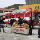 탄부초등학교 이미지