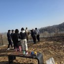 황새바위