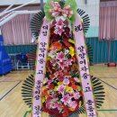 양양여중 이미지