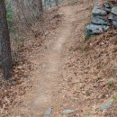 장군산길 이미지