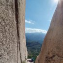 온세미로 이미지