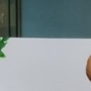 위례아산내과의원 이미지