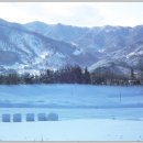 두메산골 - 수원시 팔달구 세지로 214 | 두메산골