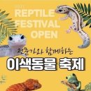 뉴코아아울렛오후
