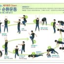 30분 순환운동 이미지