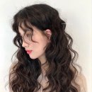 노블리즈 이미지