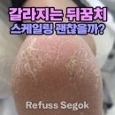 레푸스강남세곡점