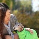 러브앤펫 이미지