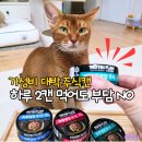 하루 2캔으로 고양이음수량 100% 충족! 뉴트리플랜 하루영양 주식