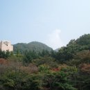 배나무골 이미지