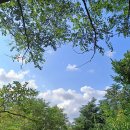 우산이발관