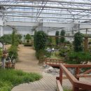 선바위(분재전시관) 이미지