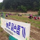 역전여성경로당 이미지