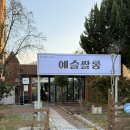 우리미용실 | 광주 화정동 미용실 예슬쌀롱 헤어 / 우리디자이너 염색후기