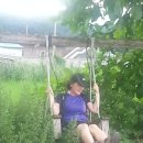 목계주유소 Daum카페
