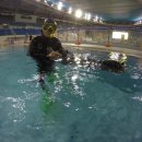 스킨스쿠버, 스킨다이빙(화) 이미지