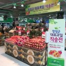 과일도시 이미지