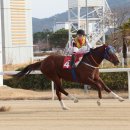 빈체로 한스경제