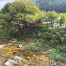 대추나무민박 이미지