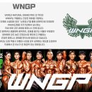 새로이 핏 이미지