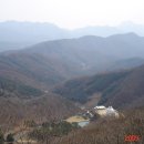 영산법화사 Daum카페