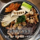 곱창왕국 | 울산 곱창 대창 곱창전골 달동맛집 곱창왕국달동점 모듬구이 후기