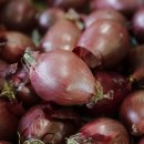 화이트세탁 이미지