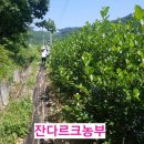 팔팔농장