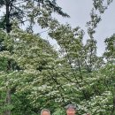 중미산자연휴양림 이미지