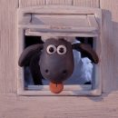 구피동물병원 | 백문백답