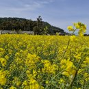 더럭초등학교 이미지