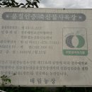 태림농장 Daum카페