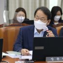 37.5도 - 25779 | 37.5도