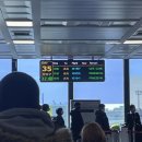 UR(서귀포시)-[추사로36번길]-하-12 | [Jeju] 서쪽 제주 여행 2박3일 (우무, 동백포레스트, 말고기, 한라산과자점, 어린왕자감귤밭, 기억해제...