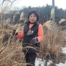 동화펜션 이미지