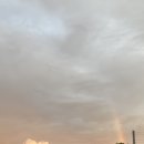 안진상사 | 6월 일기 !