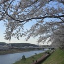 회야강변 이미지