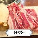 용호돈 | 창원 고기집 추천 법원 맛집 사파동 용호돈 내돈내산 후기