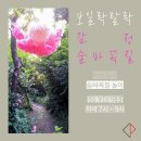 피플커넥티드 이미지