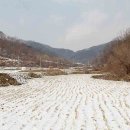 개령양천