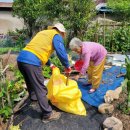 신흥환경 이미지