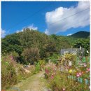 미르피아 펜션 이미지